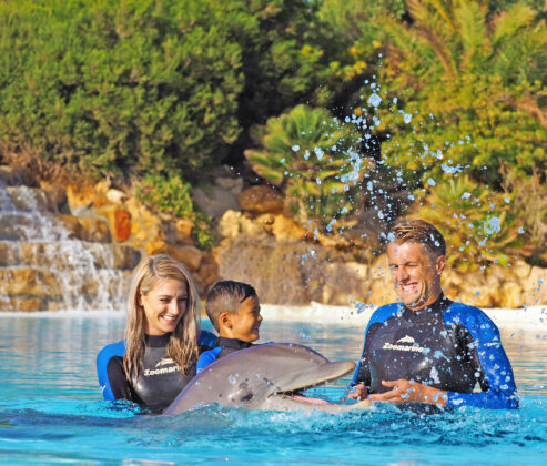 Dolphin Emotions