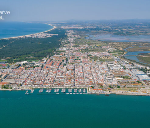 Concelho de VRS António